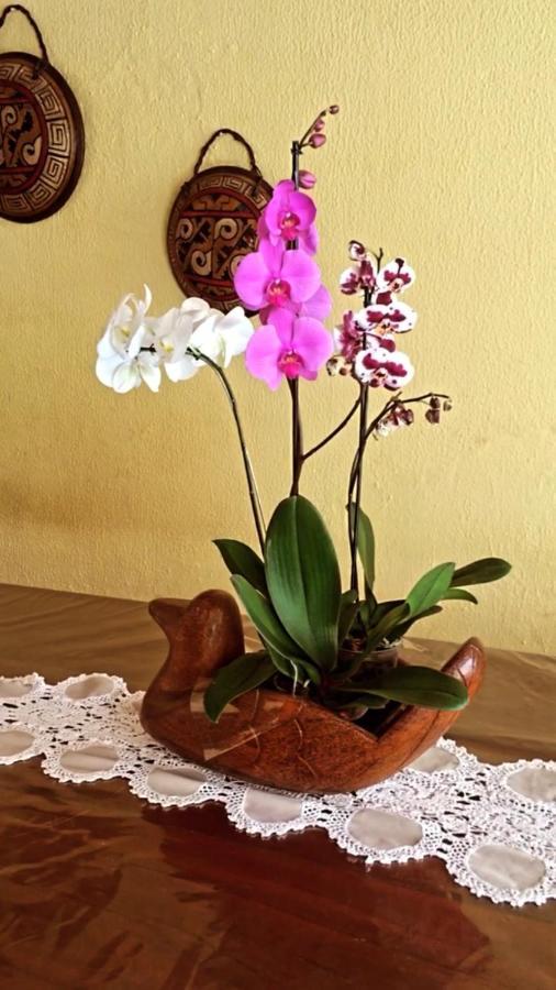 Casamar Maragogi Residence Dış mekan fotoğraf